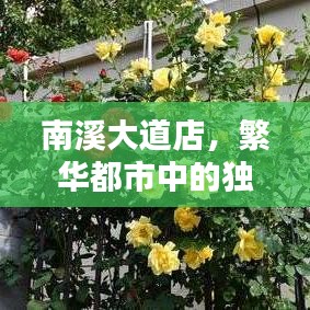 南溪大道店，都市獨特商業(yè)地標