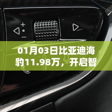比亞迪海豹新春新價，智能出行新篇章開啟