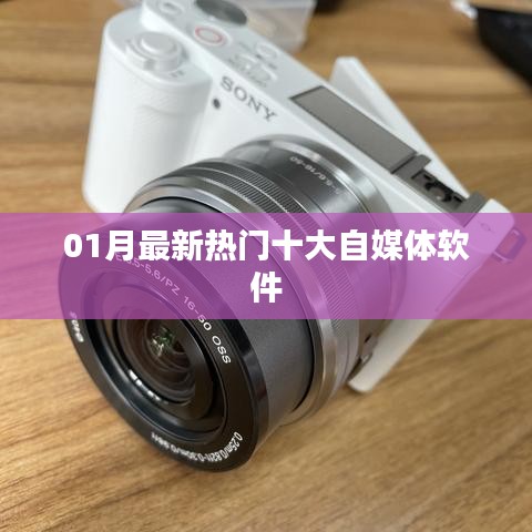 鳳毛麟角