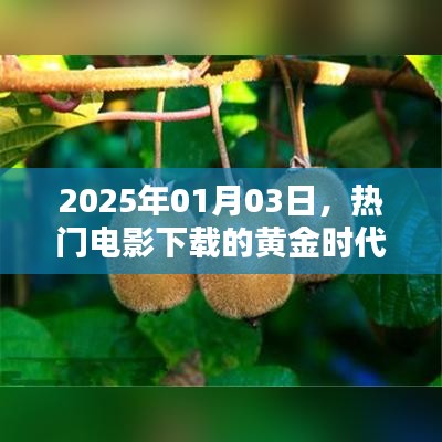 熱門電影下載黃金時(shí)代，2025年展望