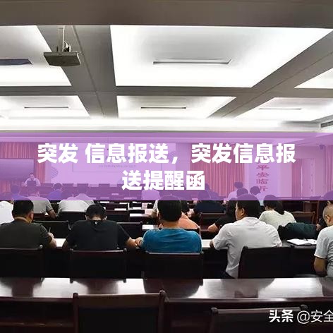 突發(fā) 信息報送，突發(fā)信息報送提醒函 