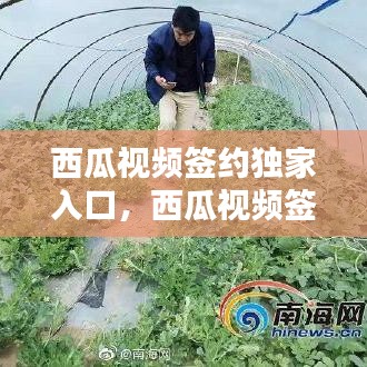 西瓜視頻簽約獨(dú)家入口，西瓜視頻簽約獨(dú)家有什么好處 