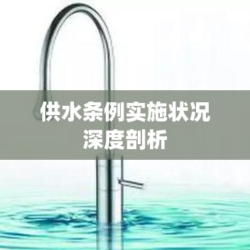 供水條例實施狀況深度剖析