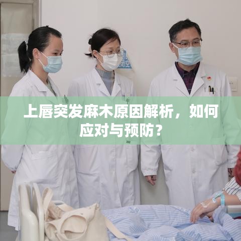 上唇突發(fā)麻木原因解析，如何應(yīng)對(duì)與預(yù)防？