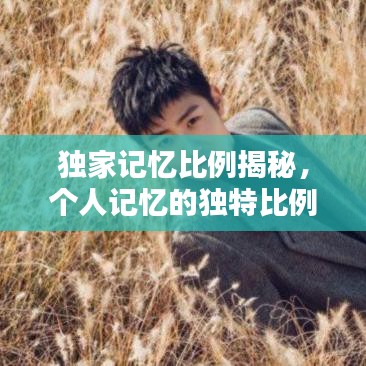 獨(dú)家記憶比例揭秘，個(gè)人記憶的獨(dú)特比例探索