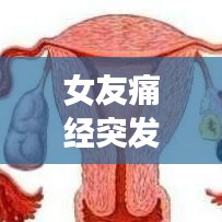 女友痛經(jīng)突發(fā)如何應(yīng)對(duì)？超實(shí)用指南助你輕松應(yīng)對(duì)！