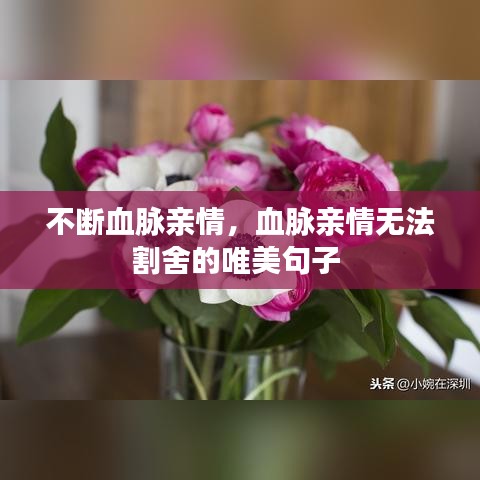 不斷血脈親情，血脈親情無法割舍的唯美句子 
