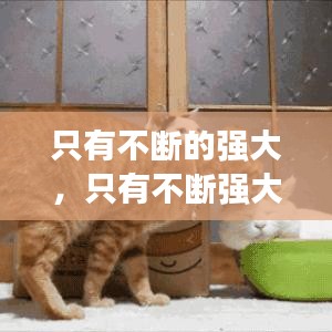 張冠李戴 第2頁