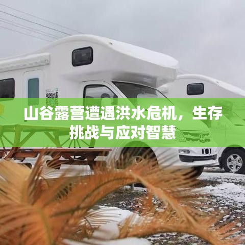 山谷露營遭遇洪水危機，生存挑戰(zhàn)與應對智慧