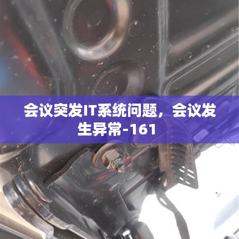 會議突發(fā)IT系統(tǒng)問題，會議發(fā)生異常-161 