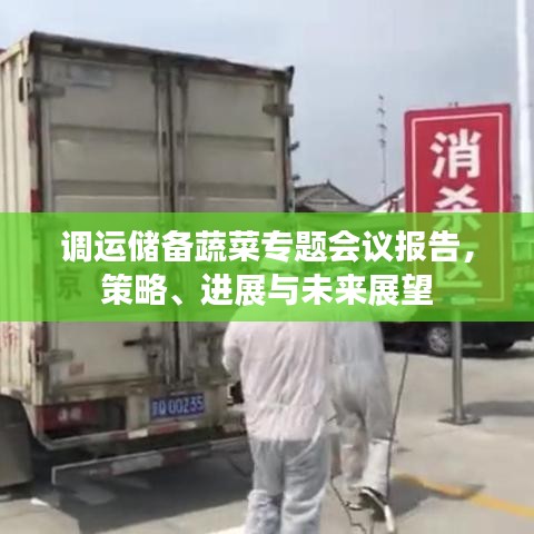 調(diào)運(yùn)儲(chǔ)備蔬菜專題會(huì)議報(bào)告，策略、進(jìn)展與未來(lái)展望