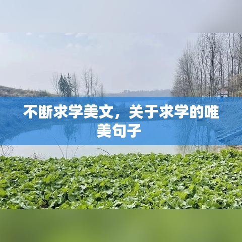 不斷求學(xué)美文，關(guān)于求學(xué)的唯美句子 