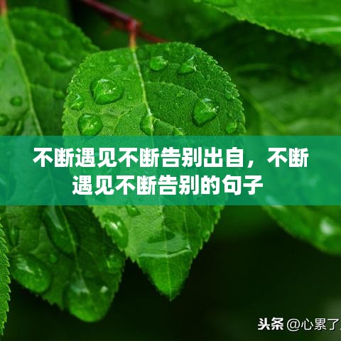 不斷遇見不斷告別出自，不斷遇見不斷告別的句子 