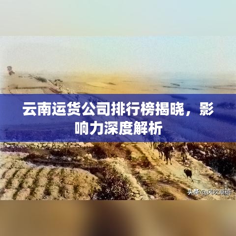 云南運(yùn)貨公司排行榜揭曉，影響力深度解析