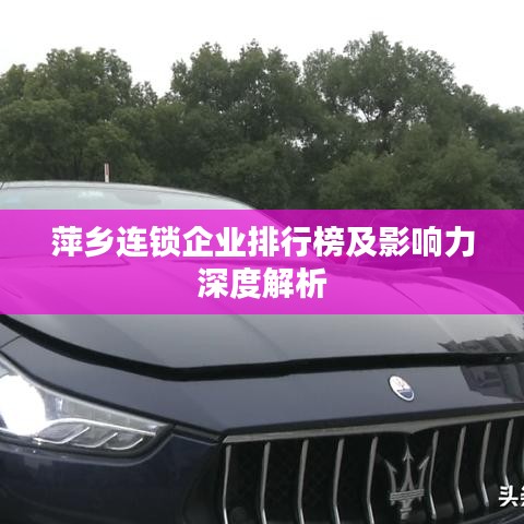 萍鄉(xiāng)連鎖企業(yè)排行榜及影響力深度解析