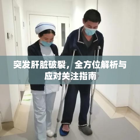 突發(fā)肝臟破裂，全方位解析與應(yīng)對關(guān)注指南