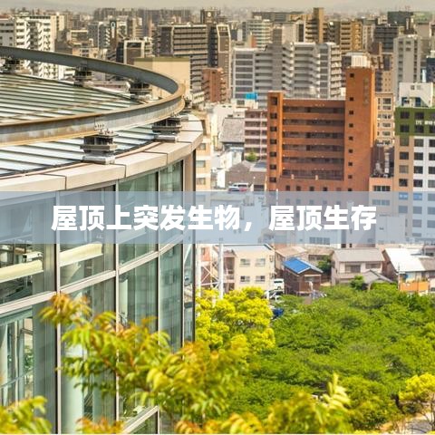 屋頂上突發(fā)生物，屋頂生存 