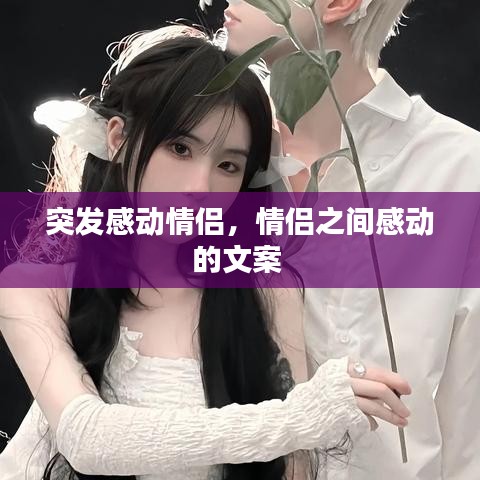 新聞資訊 第146頁