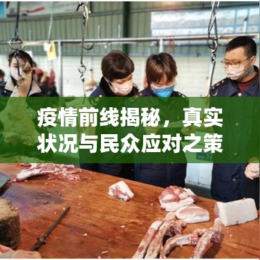 疫情前線揭秘，真實(shí)狀況與民眾應(yīng)對(duì)之策專題采訪