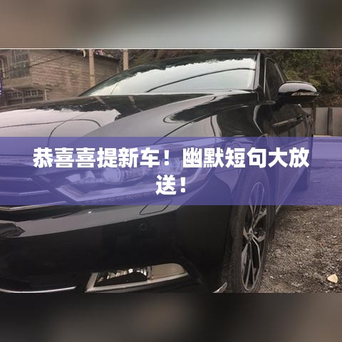 恭喜喜提新車！幽默短句大放送！
