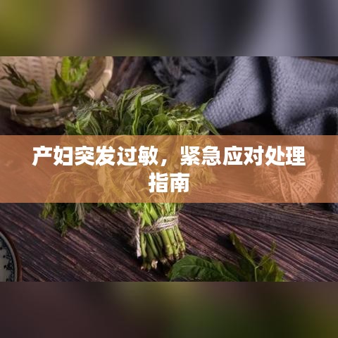 產(chǎn)婦突發(fā)過敏，緊急應(yīng)對處理指南