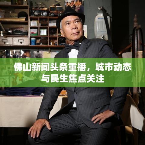 佛山新聞?lì)^條重播，城市動(dòng)態(tài)與民生焦點(diǎn)關(guān)注