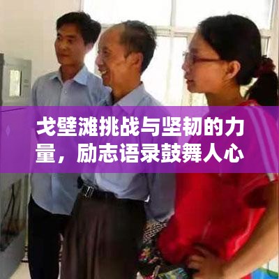 戈壁灘挑戰(zhàn)與堅(jiān)韌的力量，勵(lì)志語(yǔ)錄鼓舞人心