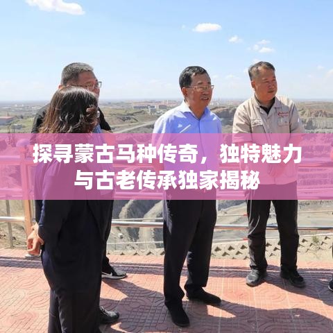 探尋蒙古馬種傳奇，獨特魅力與古老傳承獨家揭秘