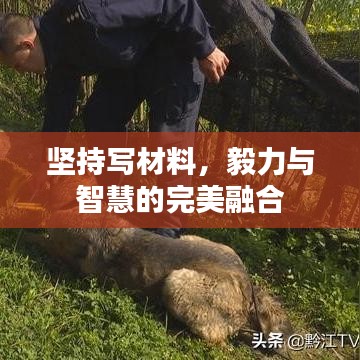 堅持寫材料，毅力與智慧的完美融合