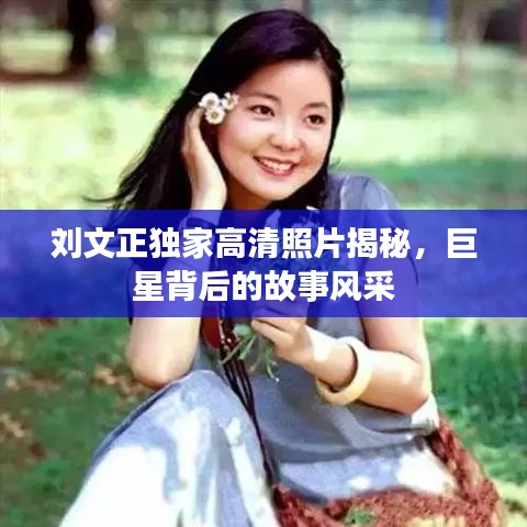 劉文正獨(dú)家高清照片揭秘，巨星背后的故事風(fēng)采