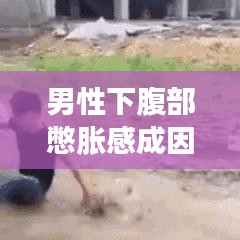 烏鳥之情 第2頁