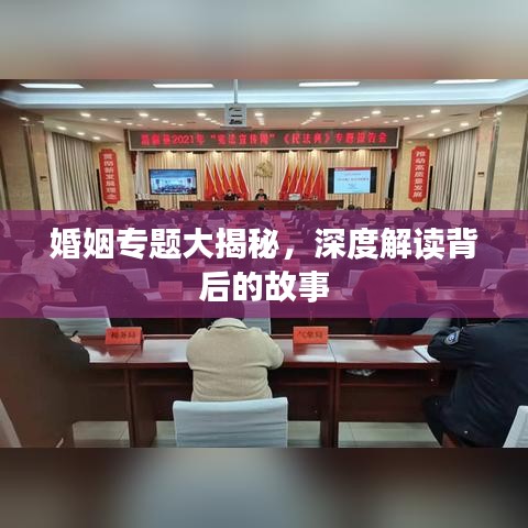 婚姻專題大揭秘，深度解讀背后的故事