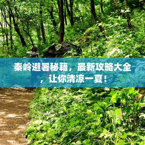 秦嶺避暑秘籍，最新攻略大全，讓你清涼一夏！