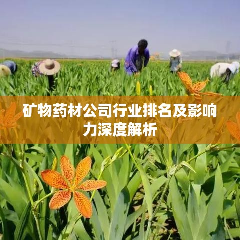礦物藥材公司行業(yè)排名及影響力深度解析
