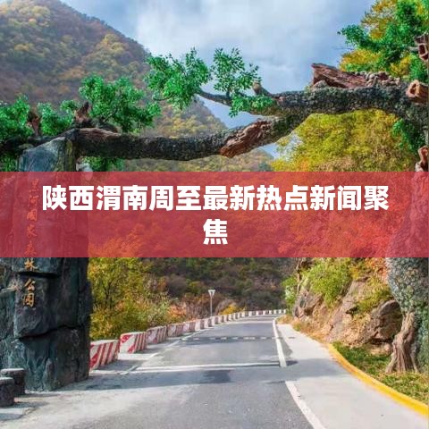 陜西渭南周至最新熱點(diǎn)新聞聚焦