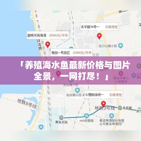 「養(yǎng)殖海水魚(yú)最新價(jià)格與圖片全景，一網(wǎng)打盡！」