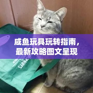 咸魚(yú)玩具玩轉(zhuǎn)指南，最新攻略圖文呈現(xiàn)