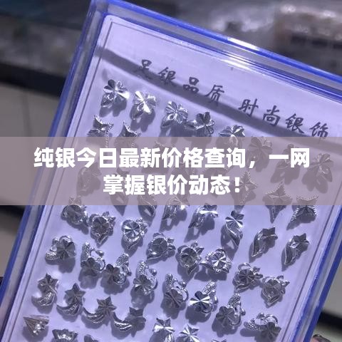 純銀今日最新價(jià)格查詢(xún)，一網(wǎng)掌握銀價(jià)動(dòng)態(tài)！