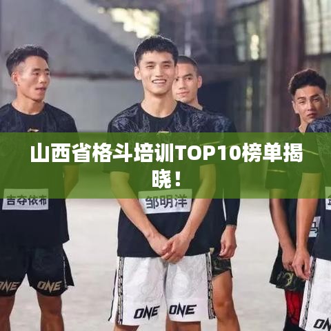 山西省格斗培訓(xùn)TOP10榜單揭曉！