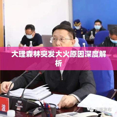 大理森林突發(fā)大火原因深度解析