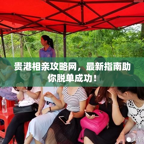 貴港相親攻略網(wǎng)，最新指南助你脫單成功！