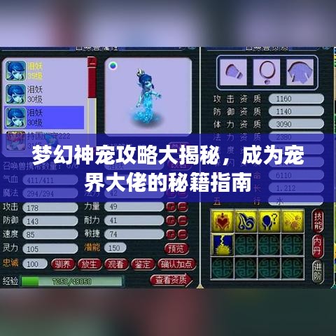夢幻神寵攻略大揭秘，成為寵界大佬的秘籍指南