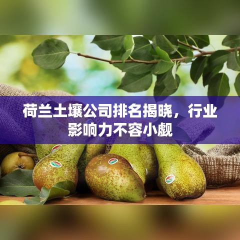 荷蘭土壤公司排名揭曉，行業(yè)影響力不容小覷
