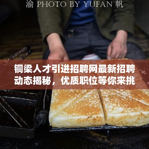 銅梁人才引進招聘網(wǎng)最新招聘動態(tài)揭秘，優(yōu)質(zhì)職位等你來挑！