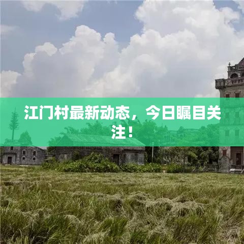 江門村最新動(dòng)態(tài)，今日矚目關(guān)注！