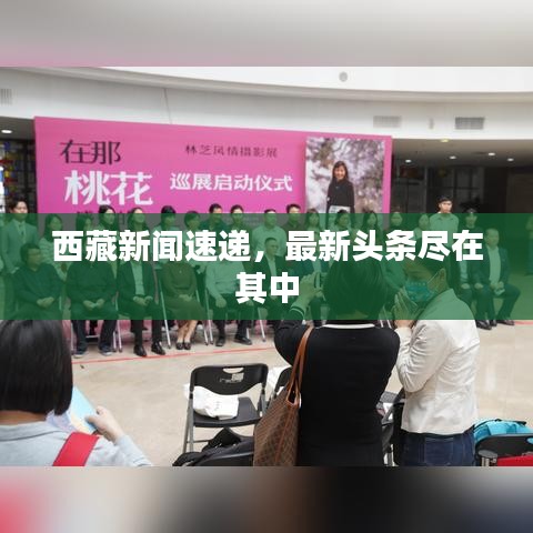 西藏新聞速遞，最新頭條盡在其中
