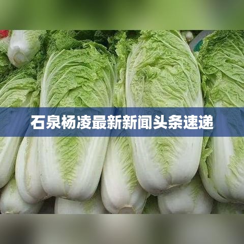 石泉楊凌最新新聞?lì)^條速遞