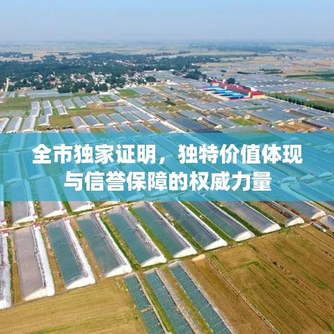 全市獨家證明，獨特價值體現與信譽保障的權威力量