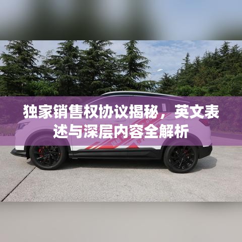 獨(dú)家銷售權(quán)協(xié)議揭秘，英文表述與深層內(nèi)容全解析