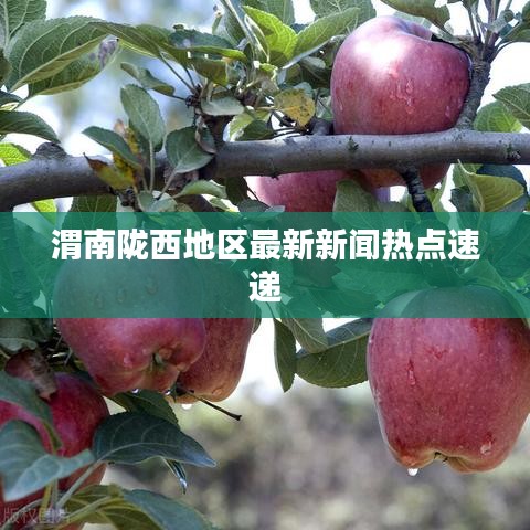 渭南隴西地區(qū)最新新聞熱點(diǎn)速遞